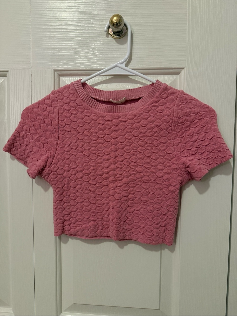 Dry Goods Rose Pink Textured Short Sleeve Crop Top